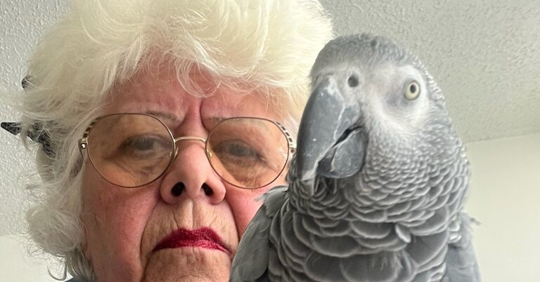 Grandmother Is Stranded When Her Parrot ‘Plucky’ Can’t Board Flight